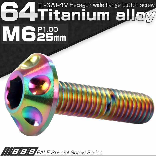 チタンボルト M6×25mm P1.00 頭部径14mm ボタンボルト 六角穴付き レインボー JA010の通販はau PAY マーケット  オートパーツ専門店 EALE au PAY マーケット－通販サイト