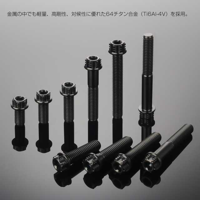 チタンボルト M8×70mm P1.25 六角ボルト トルクス穴 フランジ付き ブラック ホール JA1388の通販はau PAY マーケット -  オートパーツ専門店 EALE | au PAY マーケット－通販サイト