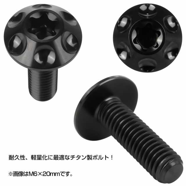 チタンボルト M6×15mm P1.0 ボタンボルト T型 トルクス穴 ブラック ホール JA1358の通販はau PAY マーケット  オートパーツ専門店 EALE au PAY マーケット－通販サイト