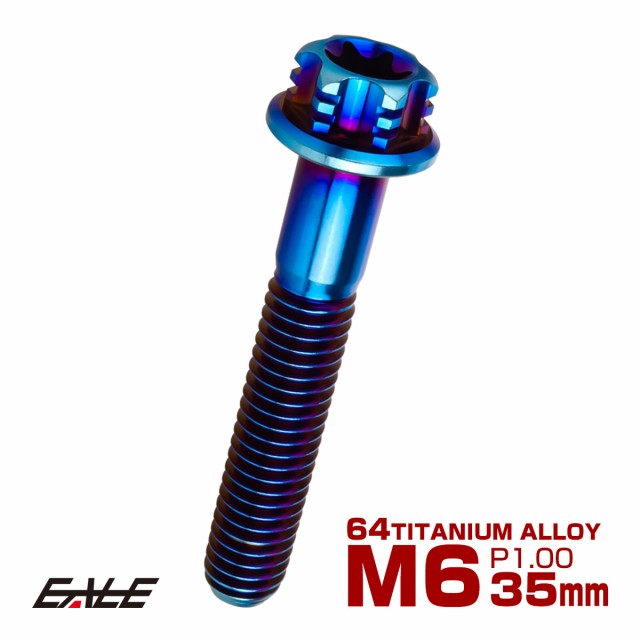 64チタン M6×20mm P1.0 ボタンボルト JA1041 ホール スノーヘッド デザインボルト 焼きチタン トルクス穴 フランジ付き