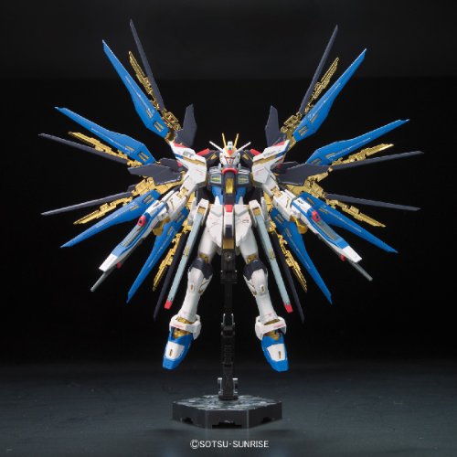 RG 機動戦士ガンダムSEED DESTINY ZGMF-X20A ストライク