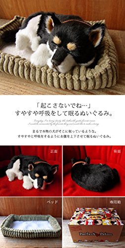 ニニアンドキノ パーフェクトペット 黒柴犬 Sサイズ（約22cm