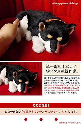 ニニアンドキノ パーフェクトペット 黒柴犬 Sサイズ（約22cm