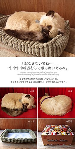 パーフェクトペット スヤスヤ息をしてるようにお腹が動くぬいぐるみ 猫(小サイズ、シャム猫)の通販はau PAY マーケット - MIKIYA | au  PAY マーケット－通販サイト