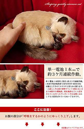 パーフェクトペット スヤスヤ息をしてるようにお腹が動くぬいぐるみ 猫(小サイズ、シャム猫)の通販はau PAY マーケット - MIKIYA | au  PAY マーケット－通販サイト