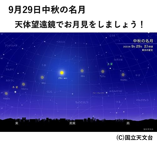 サイトロンジャパン サイトロン 天体望遠鏡 地上 天体兼用スマホで撮影 MAKSY60 + 10?