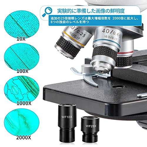 複合双眼顕微鏡 40X-2000Xの超拡大率 10X 25X広角目鏡 LED光源 XY軸