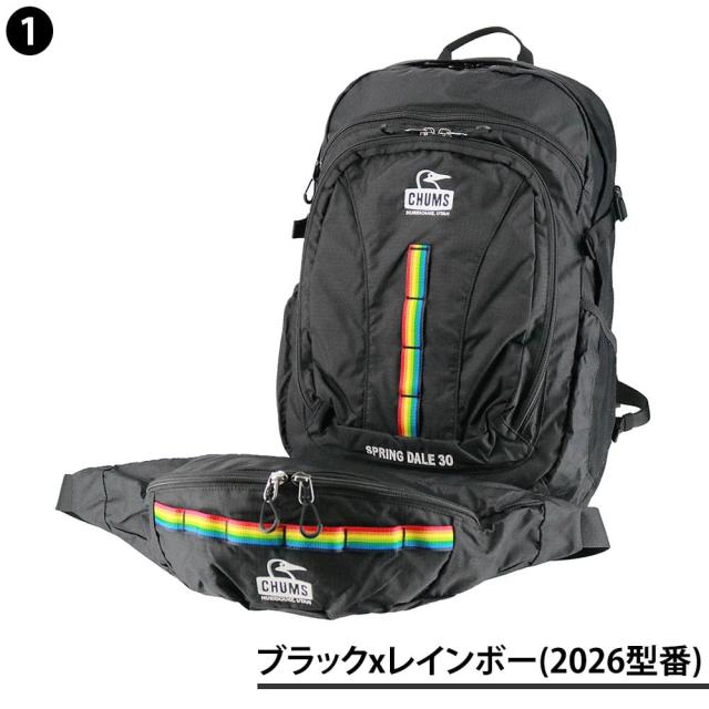 【最大900円OFF】モールクーポン対象！チャムス バッグ リュック バックパック ザックパック 登山 CHUMS スプリングデール30 30L B4 A4 CH60-3998 CH60-4097 メンズ レディース ポイント10倍 送料無料 誕生日プレゼント ギフト ラッピング無料 【正規代理店】_1