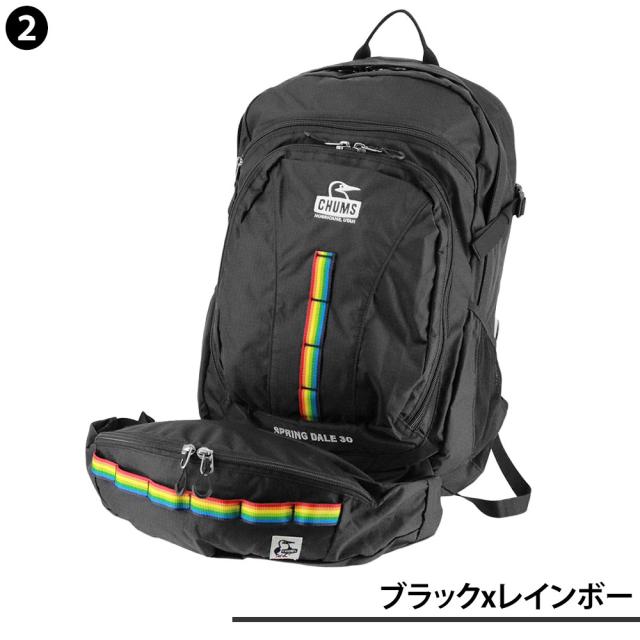 【最大900円OFF】モールクーポン対象！チャムス バッグ リュック バックパック ザックパック 登山 CHUMS スプリングデール30 30L B4 A4 CH60-3998 CH60-4097 メンズ レディース ポイント10倍 送料無料 誕生日プレゼント ギフト ラッピング無料 【正規代理店】_2