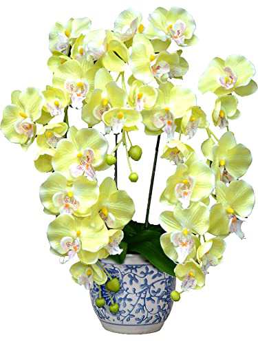 胡蝶蘭 造花 3本立ち 人工観葉植物 光触媒 インテリアグリーン 陶器 鉢 化粧箱 入 イエロー 高さ 55cm (新築祝い 開店祝い ギフト プレゼント包装) 30174の通販は 8,400円