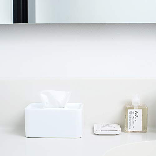 ideaco(イデアコ) コンパクトティッシュケース リッチホワイト 壁付け ビス マグネット 付属 compact tissue case