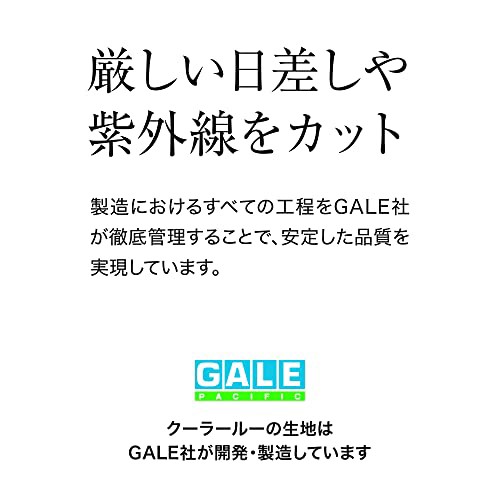 タカショー 日よけ クールシェード プライム 2×4ｍ 【5年】 UVカット アーバングレーサンシェード オーニング 目隠し 【GCS-W40U5】