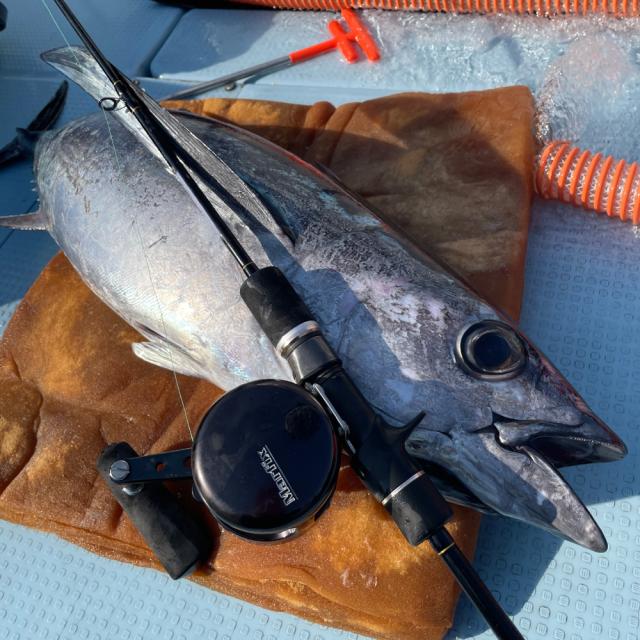 テイルウォーク スローバンプ SSD 634/FSL (ベイトモデル)