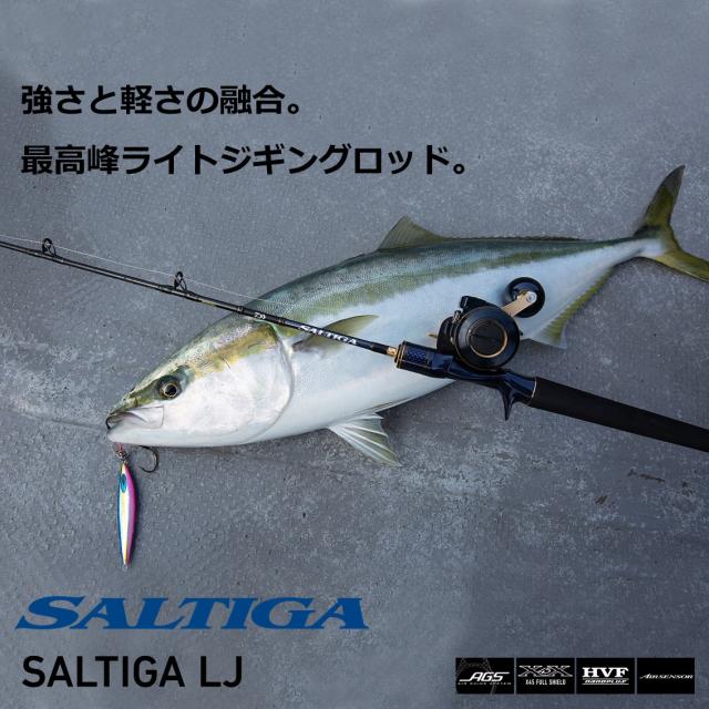 SALTIGA ライトジギングロッド SG BJ 62XHB Amazon | ダイワ(DAIWA) ライトジギングロッド SALTIGA