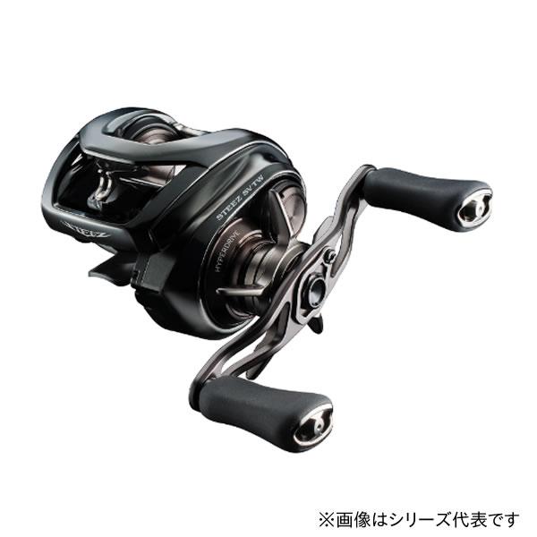 ダイワ 24 スティーズSV TW 100L (Daiwa ベイトリール 釣り 左)【送料