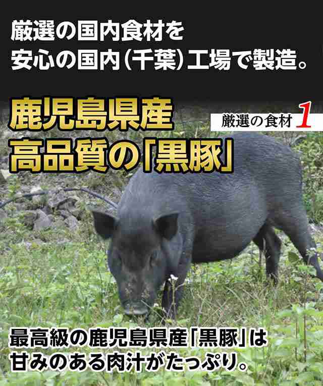 新宿光来 鹿児島産黒豚餃子 50個 鹿児島産の黒豚と厳選した国産野菜がじゅわっと肉汁餃子 職人系餃子 ご当地系餃子他 ビールにの通販はau Pay マーケット 新宿光来