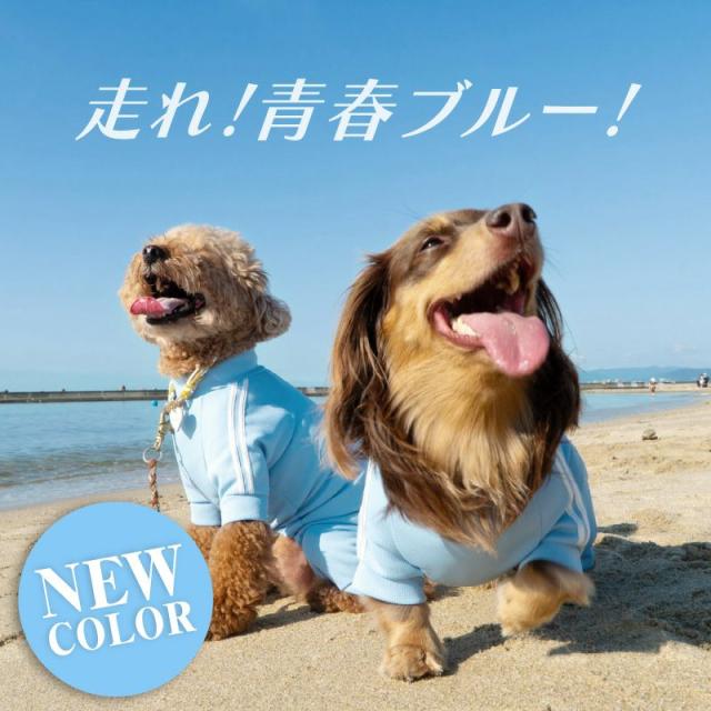 犬 服 夏 ドッグプレイ(R) 体操服 ジャージ つなぎ ダックス 小型犬用