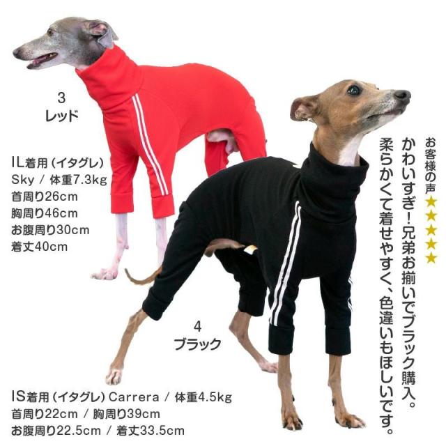 ジャージ イタグレ服夏 イタグレ犬服 夏にぴったり水平さん セーラー