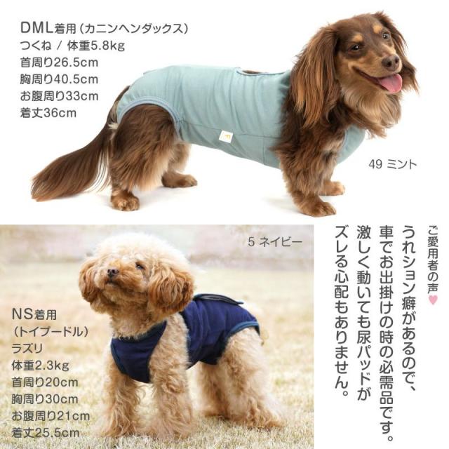 フィヨーレ　ラディーチェ　新品36本 フィヨーレ ラディーチェ 新品36本 （新品】☆新品☆カラー36