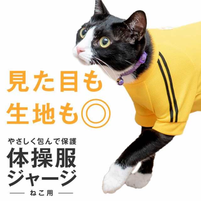 2020春夏新作】【猫専用】猫用体操服ジャージつなぎ【ネコポス値2】の通販はau PAY マーケット - 犬猫の服 full of vigor