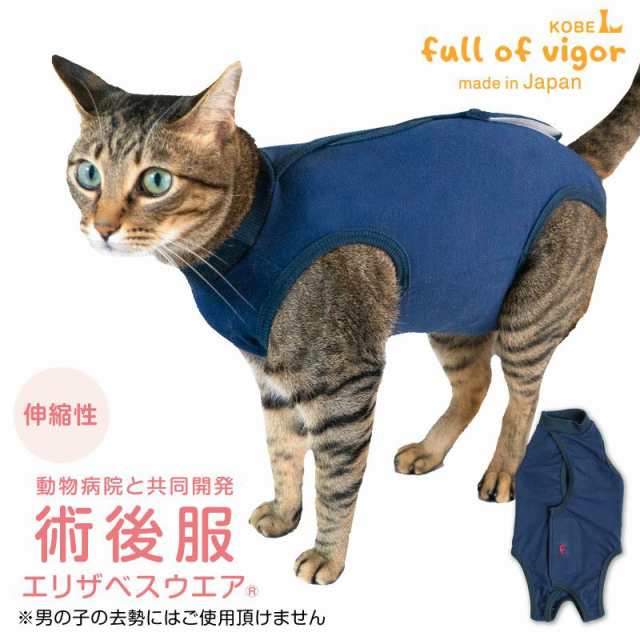 full 人気 of vigor 猫用 術後服エリザベスウエア