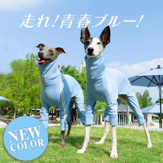 イタグレ 服 冬 秋 イタグレ用 ドッグプレイ(R) 体操服 ジャージ