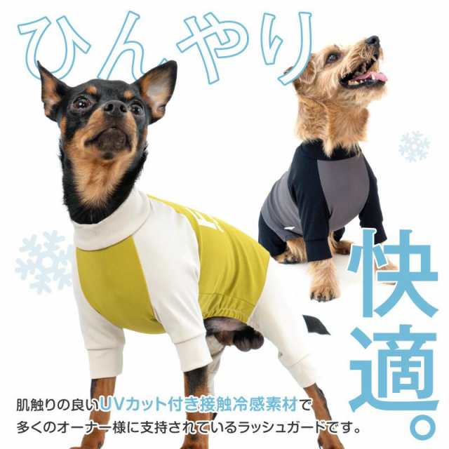 2023年春夏版】夏の暑さや紫外線から愛犬を守る！接触冷感機能の