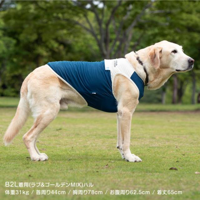新品】『B2Lサイズ』大型犬用 ドッグプレイ(R) 接触冷感 ハイ