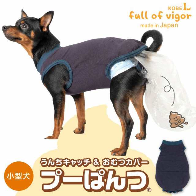 猫 販売 服 うんち