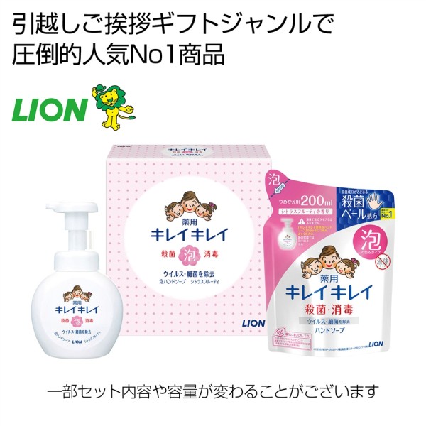 ※【ＬＩＯＮ１０カートン】キレイキレイ泡ハンドソープ２点セット ×10 まとめ買い 販促 イベント 催事 来場記念 来店記念 粗品好適品