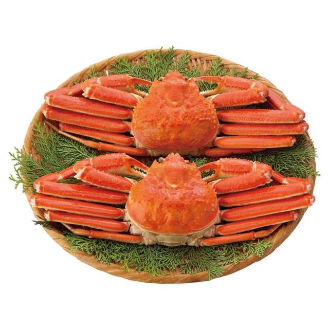 バナナチップス ドライフルーツ ノンフライ アリサン 有機バナナ