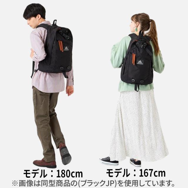GREGORY グレゴリー CLASSIC クラシック ALL DAY V2.1 オールデイ DAYPACK リュック デイパック レディース メンズ 女性 男性 ユニセックス アウトドア 通学 旅行 おしゃれ 軽量 コーデュラナイロン ブランド 65169 65174_9