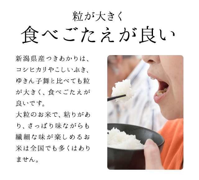 PAY　PAY　令和5年産】新潟県産　マーケット　つきあかり　PAY　精米　au　お米　25kg　送料無料　25kg　マーケット店　25キロ　米　au　（5キロ×5袋）　【送料無料　マーケット－通販サイト　2の通販はau　※沖縄送料+2,200円】　令和5年　新潟おこめ市場