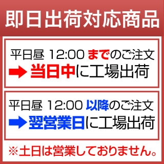 熊本県産 森のくまさん 白米 24kg（2kg×12袋） 【送料無料】【米袋は窒素充填包装】【即日出荷】 お米 令和7年産 2025年産_3