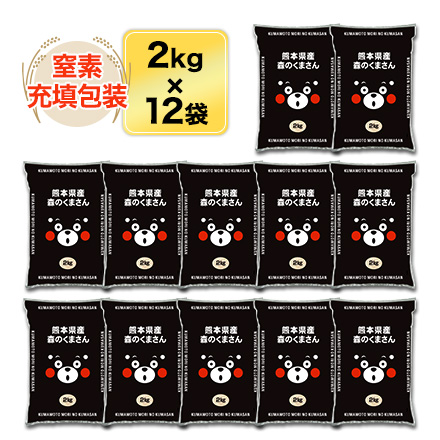 熊本県産 森のくまさん 白米 24kg（2kg×12袋） 【送料無料】【米袋は窒素充填包装】【即日出荷】 お米 令和7年産 2025年産_1