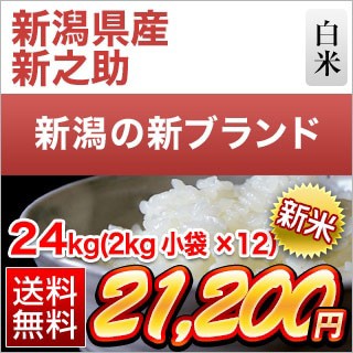 新米 新潟県産 新之助 白米 24kg (2kg×12袋) 【送料無料】【即日出荷】【米袋は窒素充填包装】令和6年(2024年)産