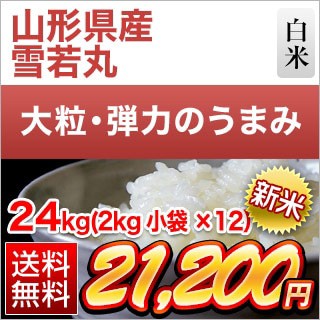 新米 山形県産 雪若丸 ＜6年連続特A評価＞ 白米 24kg (2kg×12袋)【送料無料】【即日出荷】【米袋は窒素充填包装】令和6年(2024年)産