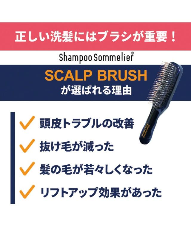 超美振動 スカルプブラシ P Up ソムリエ シャンプーブラシ ピーアップ テラヘルツ 櫛 くし クシ インバス用 頭皮ケアの通販はau Pay マーケット 渋谷トレンド Au Pay マーケット店