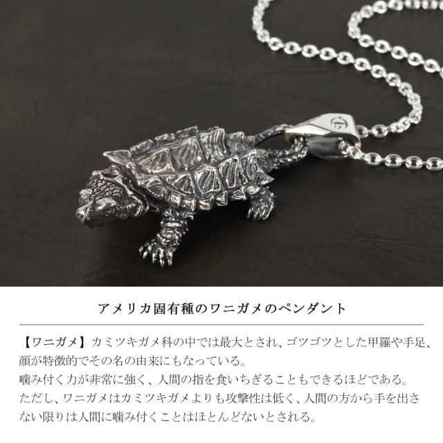 Cold I's ワニガメ ペンダント ネックレス ペンダントトップ ペンダントチャーム シルバー 925 亀 カメ 鰐ガメ 爬虫類 は虫類 リアル 生き物 動物_1