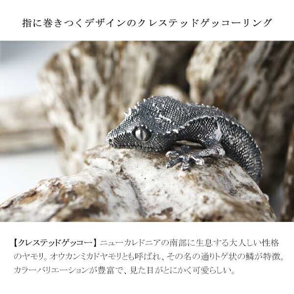 Cold I's クレステッドゲッコー 巻きつき リング 7〜19号 Cold I's クレステッドゲッコー 巻きつき リング 7〜19号