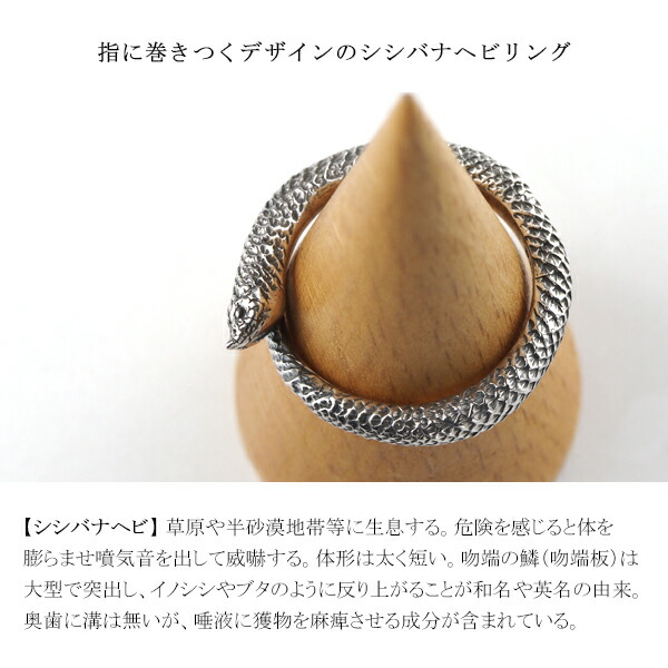Cold I's シシバナヘビ 巻きつき リング S 1〜23号 シルバー925 指輪 シルバーアクセサリー マイマイヘビ ヘビ 蛇 スネーク パイソン ボア 爬虫類_2