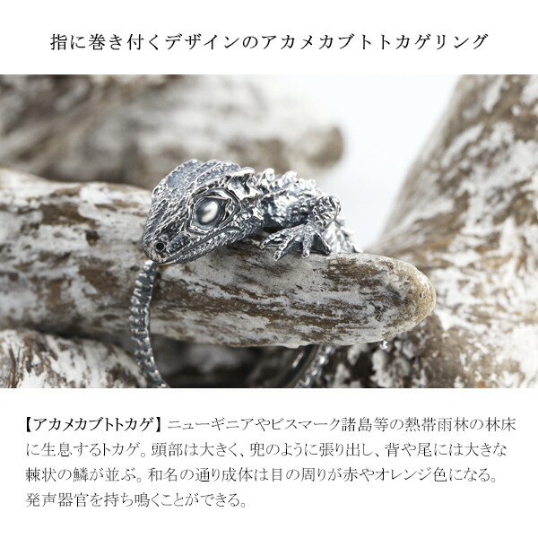 Cold I's アカメカブトトカゲ 巻きつき リング 9〜23号 シルバー925 指輪 シルバーアクセサリー カブトトカゲ キノボリトカゲ科 アガマ科 トカゲ_2