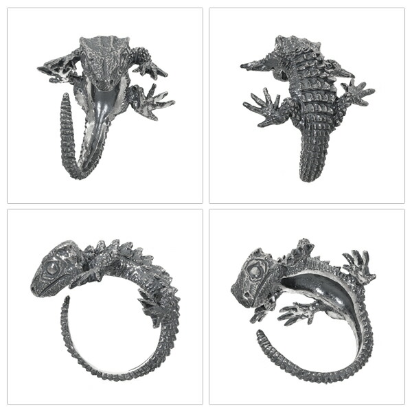 Cold I's アカメカブトトカゲ 巻きつき リング 9〜23号 シルバー925 指輪 シルバーアクセサリー カブトトカゲ キノボリトカゲ科 アガマ科 トカゲ_7