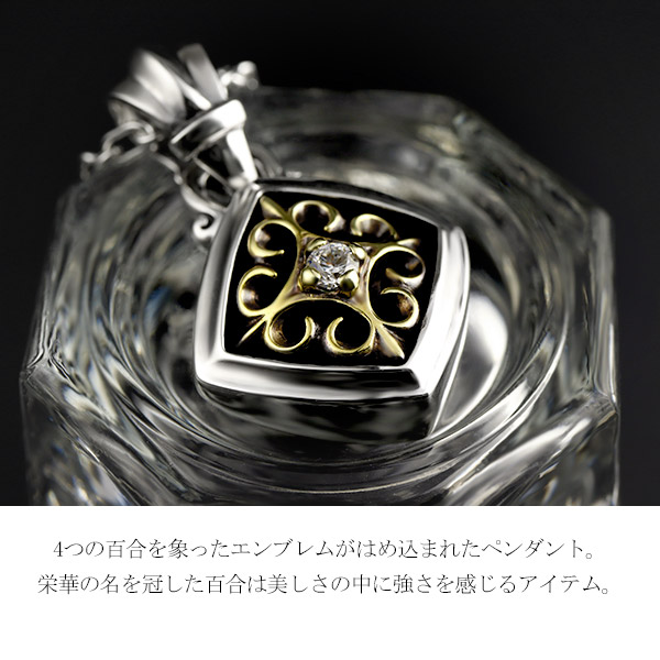 emerge エマージュ グローリー コンビ ペンダント チェーン付き シルバーネックレス シルバー ネックレス シルバー925 シルバーアクセ_2