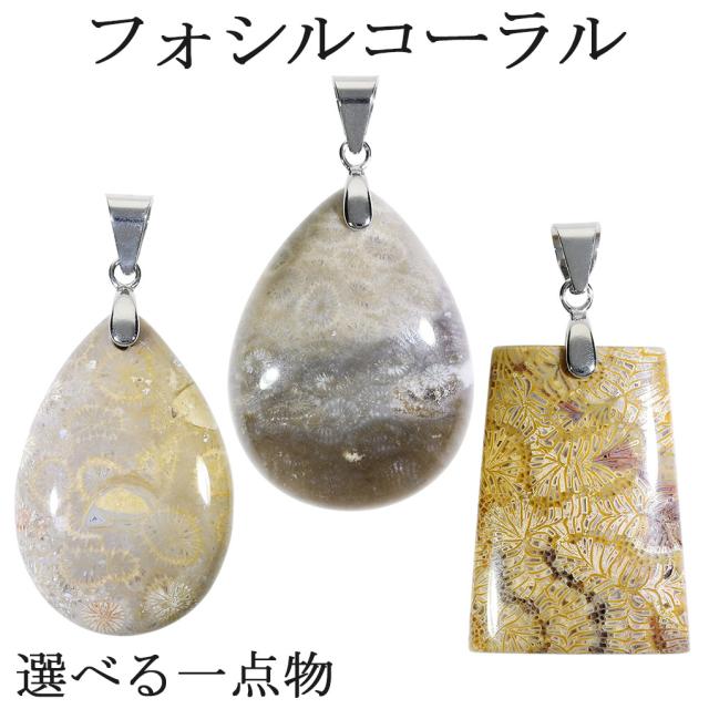 フォシルコーラル シルバー ペンダントトップ 数量限定 選べる 一点物 チェーンなし フォッシルコーラル コーラル 珊瑚 サンゴ ペンダント 化石の通販は