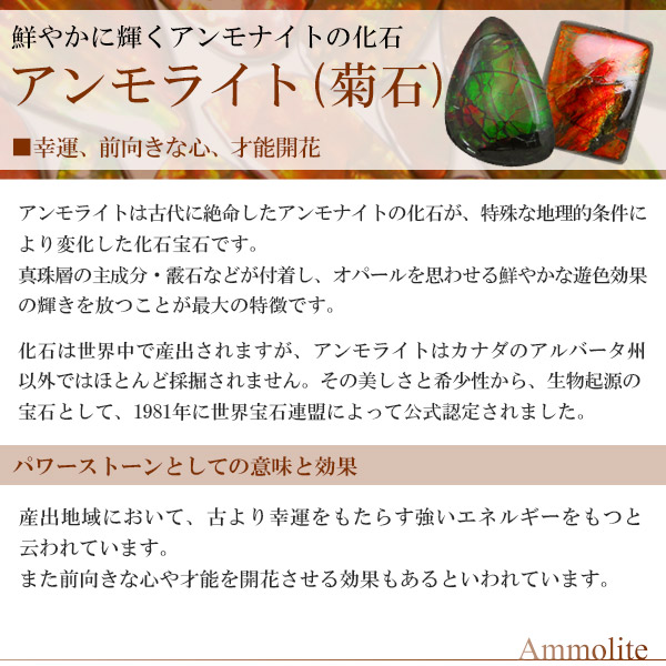 アンモライト シルバー ペンダントトップ ドロップ 雫 天然石 パワーストーン アンモナイト 化石 ペンダント ヘッド トップ ネックレス_5