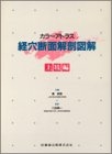 (中古品) カラ-アトラス経穴断面解剖図解 (上肢編)