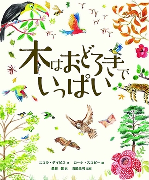 (中古品) 木はおどろきでいっぱい