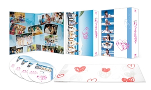(中古品) パーフェクトラブ! DVD-BOX