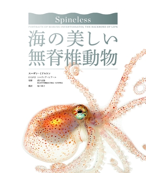 (中古品) 海の美しい無脊椎動物 8,237円